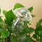 Mushroom Shape Glass Plant Watering Globes Self Watering Drip Irrigation System Rainbow Design
