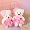 Plush Doll Cartoon Bear Set Foam Animal Plush Bouquet 2