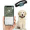 Mini Dog GPS Tracker Waterproof Animal Tracking Collar For Cats And Puppies Anti Lost Movement Aler 0