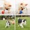 Dog Squeaky Ball Toy Soft Latex Football Rugby Tennis Volleyball Pet Tooth Cleaning And Training To 4