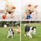 Dog Squeaky Ball Toy Soft Latex Football Rugby Tennis Volleyball Pet Tooth Cleaning And Training To 4