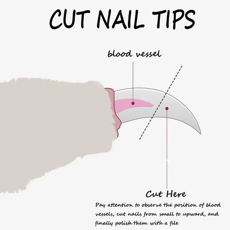 Pet Claw Care Nail Clippers For Dogs And Cats Pet Grooming Nail Cutter For Safe And Precise Trimmin 3