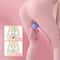 Pelvic Floor Exercise Leg Kegel Trainer Fleece Material For Home Leg Muscle Training Yoga Use 3
