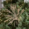 Glitter Plastic Christmas Flowers Simulated Xmas Floral Arrangements DIY Decorative Flowers 0