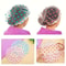 Shower Dry Hair Cap Waterproof Household Shower Cap Long Hair Sanitary Hat For Bathing 1