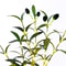 DIY Handcrafted Olive Branch LED Light Artificial Plant Night Light For Home Office Desk Counter De 3