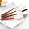 Imitation Wooden Handle Cutlery Set Stainless Steel Knife Fork Tea Spoon Western Tableware Dinnerwa 2
