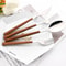 Imitation Wooden Handle Cutlery Set Stainless Steel Knife Fork Tea Spoon Western Tableware Dinnerwa 2