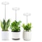 USB Angel Ring Grow Light Phytolamp For Plants With Control Full Spectrum Clip Phyto Lamp For Home 0