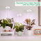 USB Angel Ring Grow Light Phytolamp For Plants With Control Full Spectrum Clip Phyto Lamp For Home 1