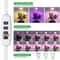 USB Angel Ring Grow Light Phytolamp For Plants With Control Full Spectrum Clip Phyto Lamp For Home 5
