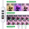 USB Angel Ring Grow Light Phytolamp For Plants With Control Full Spectrum Clip Phyto Lamp For Home 5