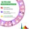 USB Angel Ring Grow Light Phytolamp For Plants With Control Full Spectrum Clip Phyto Lamp For Home 4
