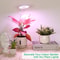 USB Angel Ring Grow Light Phytolamp For Plants With Control Full Spectrum Clip Phyto Lamp For Home 2
