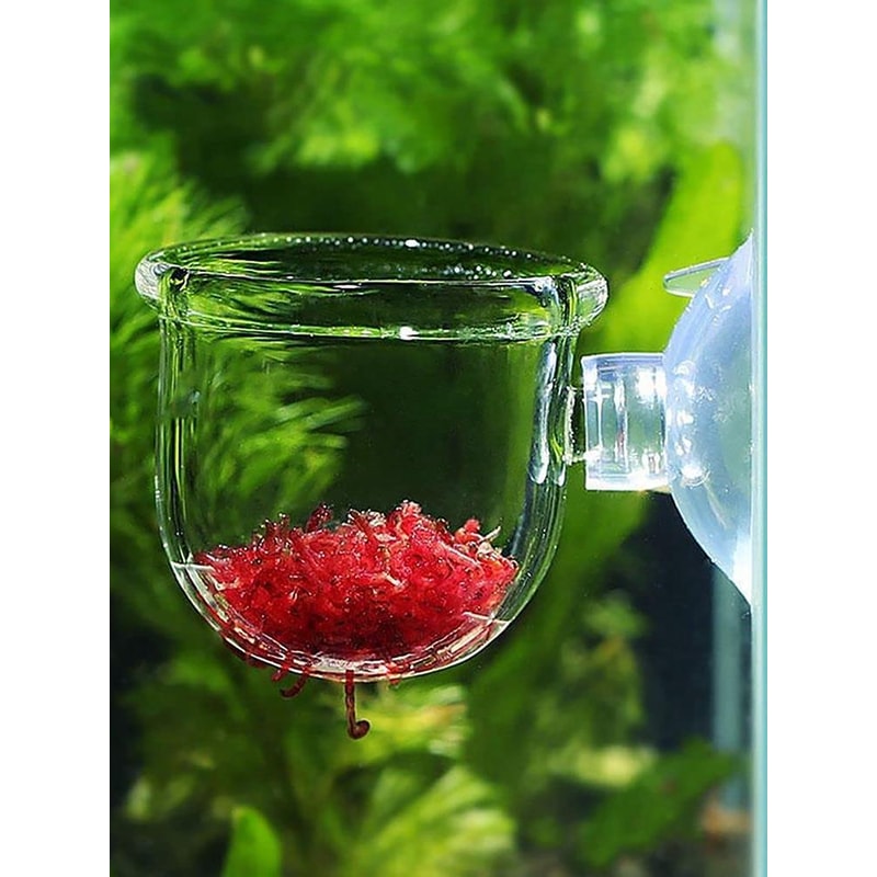 Aquarium Glass Plant Pot With Suction Holder Acrylic Aquatic Plant Cup Feeding Container Stand For 1