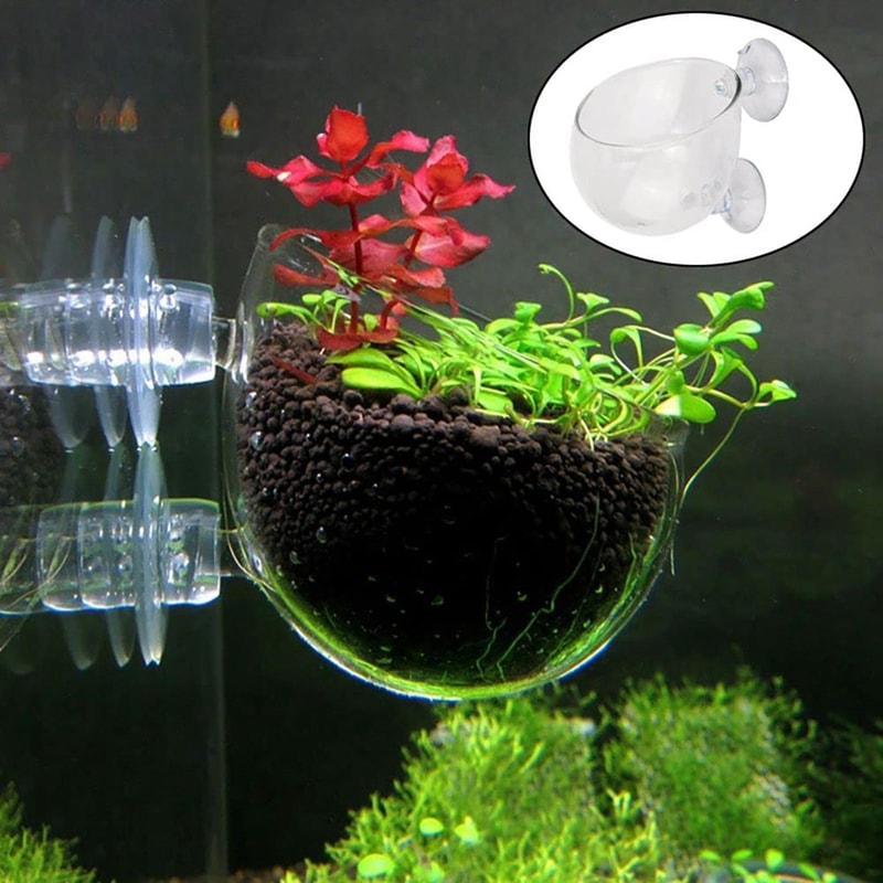 Aquarium Glass Plant Pot With Suction Holder Acrylic Aquatic Plant Cup Feeding Container Stand For 3