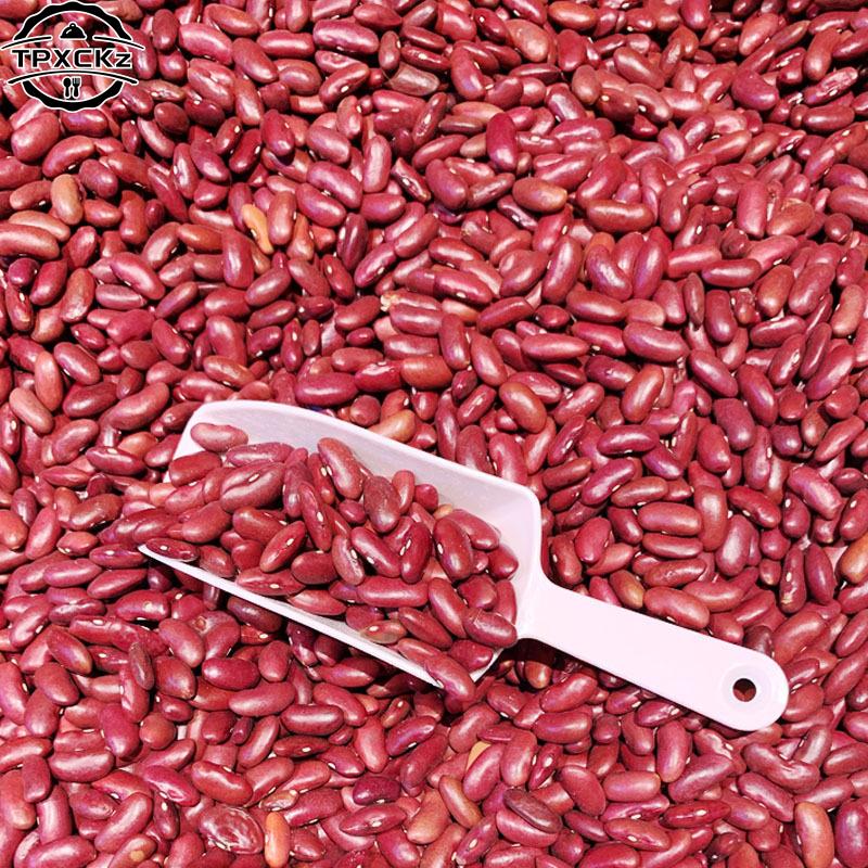 Plastic Bar Candy Scoop Shovel Round Bar Pub Home Ice Cubes Spice Candy Flour Nut Scoop Spoon Weddi 1