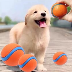 gnaw-resistant durable rubber dog chew balls interactive training
