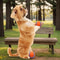 GnawResistant Durable Rubber Dog Chew Balls Interactive Training 4