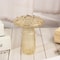 Colourful Mushroom Vase Creative Transparent Glass Hydroponic Aromatherapy Vase for Living Room Desktop Art Decoration