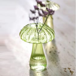 transparent glass aromatherapy vase, living room, dining room colourful mushroom decor