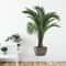 Simulation Flower Pots Wall Decals Greenery Potted Plants Entrance Bedroom Living Room Wall Sticker 2