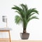 Simulation Flower Pots Wall Decals Greenery Potted Plants Entrance Bedroom Living Room Wall Sticker 4