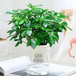 artificial plant, fake leaves with stem, living room hotel office decor