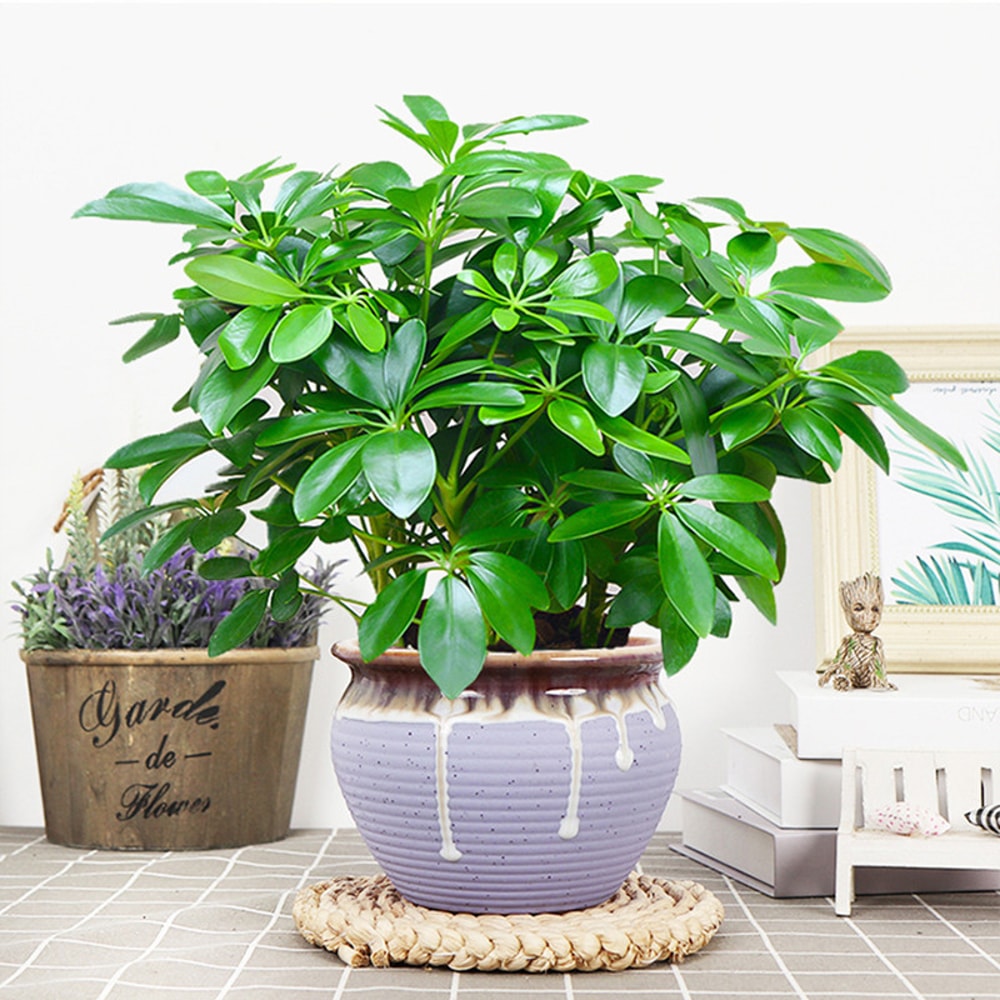 Artificial Plant Fake Leaves With Stem Living Room Hotel Office Decor 1