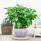 Artificial Plant Fake Leaves With Stem Living Room Hotel Office Decor 1