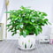 Artificial Plant Fake Leaves With Stem Living Room Hotel Office Decor 2