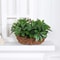 Artificial Plant Fake Leaves With Stem Living Room Hotel Office Decor 3