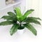 Artificial Plant Head Of Iron Leaves Simulated Silk Cloth Green Planting Palm Leaf Plant 1