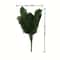 Artificial Plant Head Of Iron Leaves Simulated Silk Cloth Green Planting Palm Leaf Plant 4