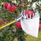 Metal Fruit Picker High Altitude Fruit Picker Portable Fruit Picker Agricultural Gardening Hardware 4
