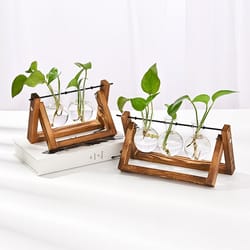 creative wooden frame hydroponic glass vase, retro green ivy plant, desktop small decoration