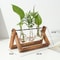 Creative Wooden Frame Hydroponic Glass Vase, Retro Green Ivy Plant, Desktop Small Decoration