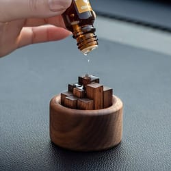 aromatherapy sticks, wooden essential oil diffuser, walnut wood fragrance expander for home, car and bathroom decor