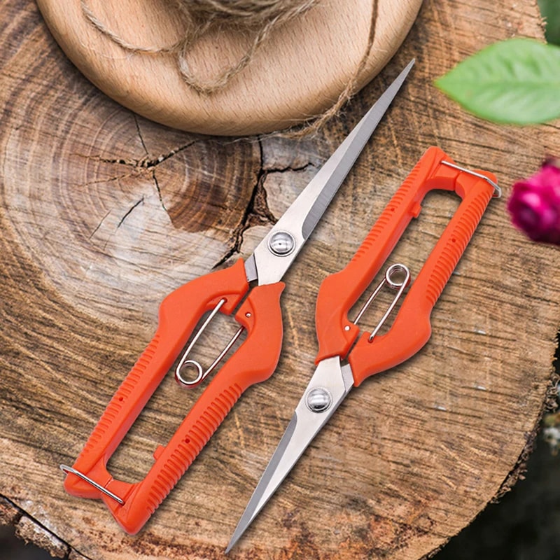 Professional Stainless Steel Grape Scissors Pruning Shears With Lock For Vegetable Patch And Bonsai 2