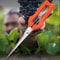 Professional Stainless Steel Grape Scissors Pruning Shears With Lock For Vegetable Patch And Bonsai 3