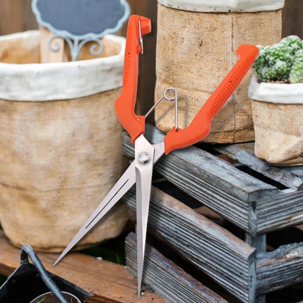 Professional Stainless Steel Grape Scissors Pruning Shears With Lock For Vegetable Patch And Bonsai 4