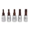 Torx Screwdriver Bits Set Drive Socket Wrench Adapter 4