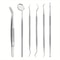 Stainless Steel Dental Tools Kit for Oral Cleaning Tartar Removal Flossing Care Mirror Easy to Clean