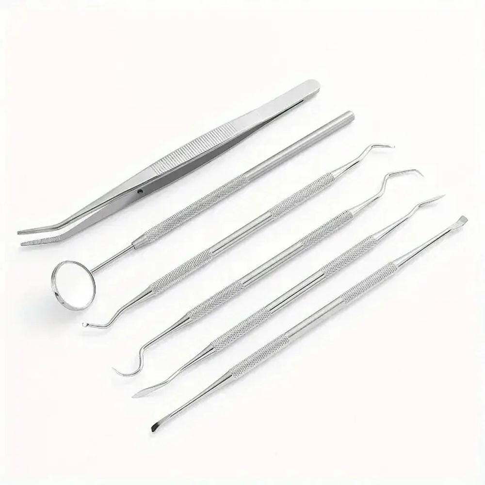 Stainless Steel Dental Tools Kit for Oral Cleaning Tartar Removal Flossing Care Mirror Easy to Clean
