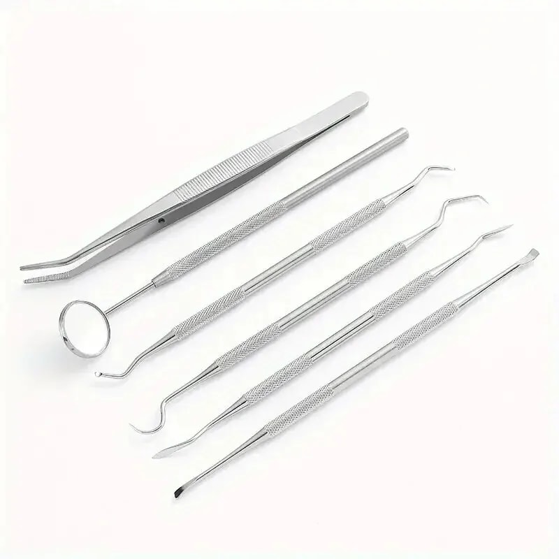 Stainless Steel Dental Tools Kit for Oral Cleaning Tartar Removal Flossing Care Mirror Easy to Clean