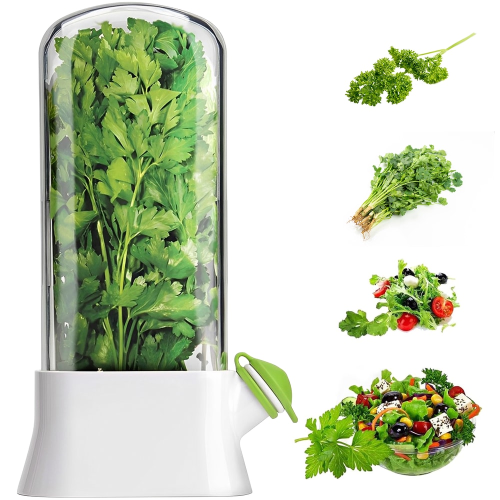 Vegetable Preserving Bottle For Kitchen Herb Saver For Refrigerator Fresh Herb Keeper Pod Cilantro 0