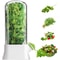 Vegetable Preserving Bottle For Kitchen Herb Saver For Refrigerator Fresh Herb Keeper Pod Cilantro 0