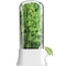 Vegetable Preserving Bottle For Kitchen Herb Saver For Refrigerator Fresh Herb Keeper Pod Cilantro 5
