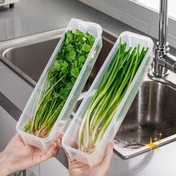 cilantro green onion storage box airtight refrigerator container bpa-free fresh-keeping organizer