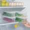 Cilantro Green Onion Storage Box Airtight Refrigerator Container BPAFree FreshKeeping Organizer 1